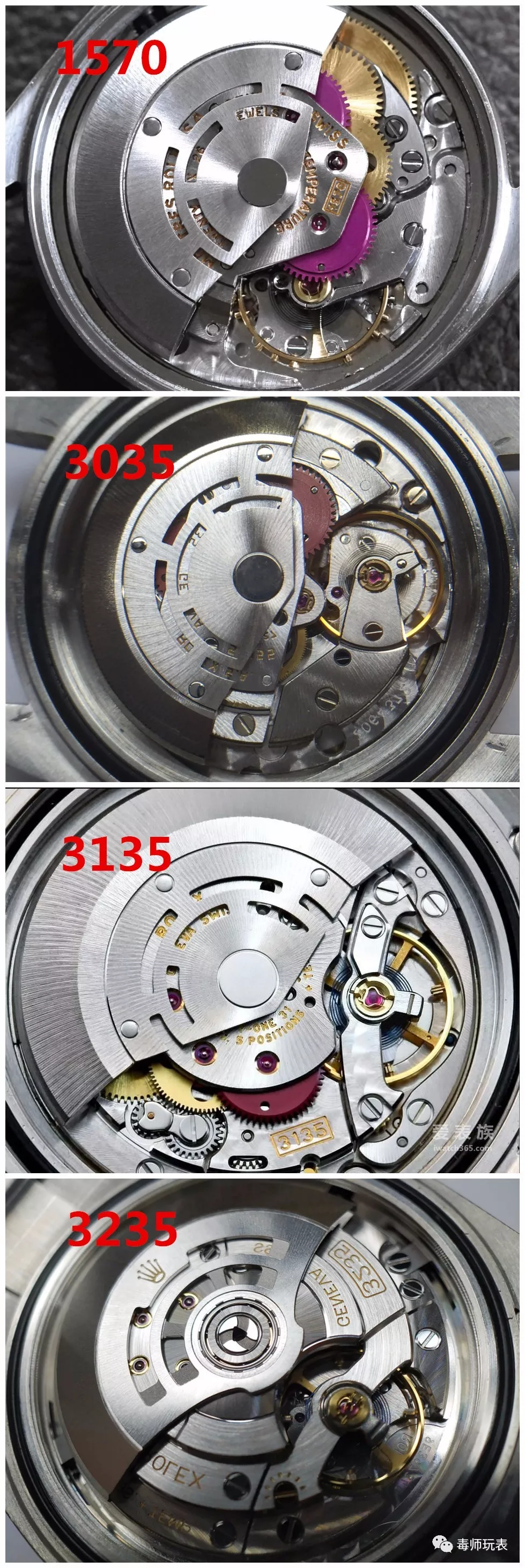 劳力士黑水鬼3235机芯图片